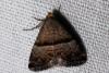 66336 – Photo : Liboupat – France (06)