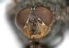 66119 – Photo : Guillaume JACQUEMIN – France (74)