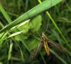 66813 – Photo : Axel Dehalleux – France (93)