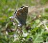 66228 – Photo : clovis – France (62)