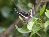66647 – Photo : patrick derennes – Ouganda