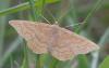 66534 – Photo : pendruc – France (28)