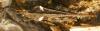 67761 – Photo : mh38 – France (38)