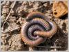 67108 – Photo : Mario Maganto Berdejo – Espagne