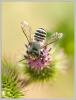 67244 – Photo : Mario Maganto Berdejo – Espagne