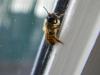 67767 – Photo : Nicolas Alric – France (12)