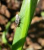 67768 – Photo : Nicolas Alric – France (12)