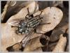 67294 – Photo : Mario Maganto Berdejo – Espagne