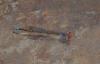 67874 – Photo : Renaud Bernhard – Afrique du Sud
