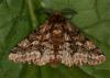67754 – Photo : Pelouard – France (72)
