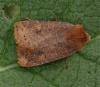 67860 – Photo : Pelouard – France (72)