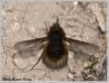 67624 – Photo : Mario Maganto Berdejo – Espagne