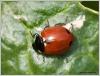 67595 – Photo : Mario Maganto Berdejo – Espagne