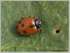 67596 – Photo : Mario Maganto Berdejo – Espagne