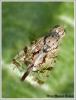 67855 – Photo : Mario Maganto Berdejo – Espagne