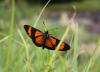 67219 – Photo : Roger Caritg – Pérou