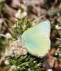 67913 – Photo : David Guedon – France (29)