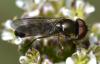 68742 – Photo : jean-luc Gagne – France (15)