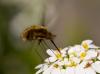 68100 – Photo : Pierre Duhem – France (75)