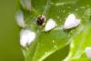 68691 – Photo : Pierre Duhem – France (75)