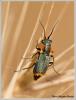 68391 – Photo : Mario Maganto Berdejo – Espagne