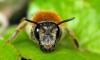 68408 – Photo : Vincent Lefebvre – France (91)