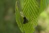 68621 – Photo : Michel Renou – France (91)
