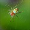 68331 – Photo : Denys Liger – France (27)