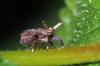 68987 – Photo : Christophe Quintin – France (21)