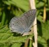 68086 – Photo : Guillaume Chorgnon – France (42)