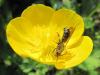 68816 – Photo : Gilles Roux – France (75)