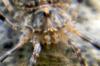68302 – Photo : Nicolas Alric – France (12)