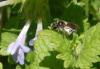 68290 – Photo : Phil – France (40)