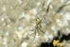 68307 – Photo : Nicolas Alric – France (12)