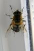 68654 – Photo : Nicolas Alric – France (12)