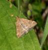 68139 – Photo : Pelouard – France (72)