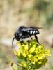 68400 – Photo : Noushka – France (31)