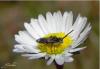 68127 – Photo : Noushka – France (31)