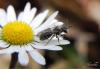 68126 – Photo : Noushka – France (31)