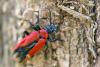 68981 – Photo : Alain M. – France (26)
