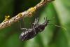 68678 – Photo : Joseph Rezeau – France (56)