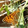 68091 – Photo : Guillaume Chorgnon – France (42)
