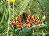 68784 – Photo : Martine Giban – France (36)