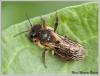 68035 – Photo : Mario Maganto Berdejo – Espagne