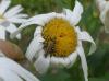 68298 – Photo : Nicolas Alric – France (12)