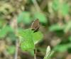 68085 – Photo : Serge Couy – France (26)