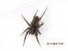 68781 – Photo : Edy Spagnol – France (11)