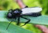 68158 – Photo : David Guedon – France (76)