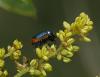 69548 – Photo : Jean-Cyril FREEMAN – Espagne