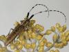 69979 – Photo : Bernard BOHER – France (09)